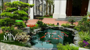 hồ cá koi nhật bản
